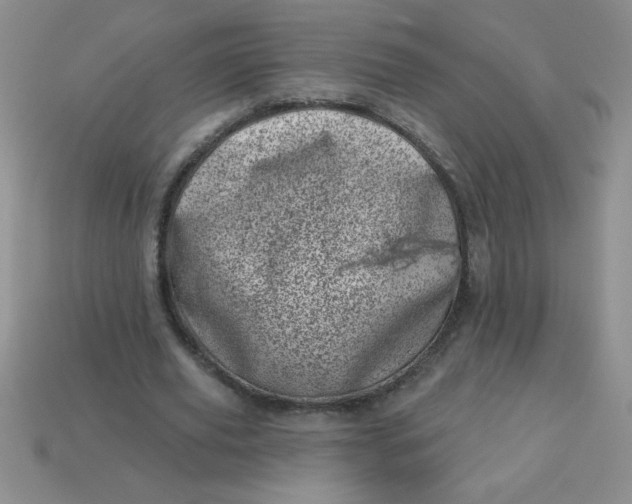 X0000113000629200909101757