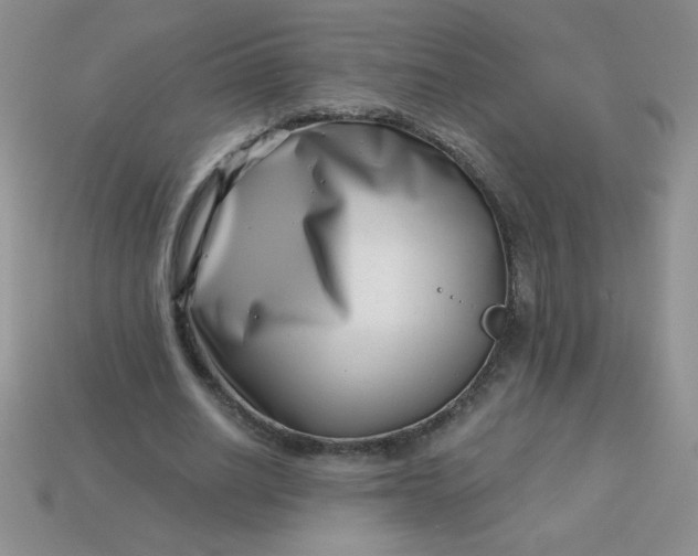 X0000113000630200909101757