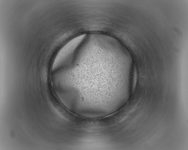 X0000113000631200909101757