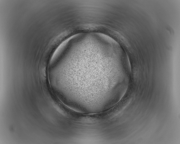 X0000113000633200909101757