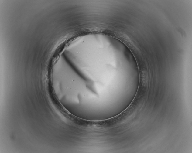 X0000113000634200909101757