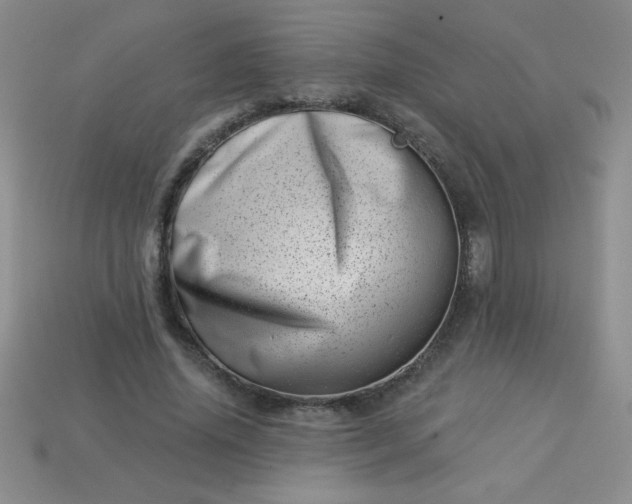 X0000113000636200909101757