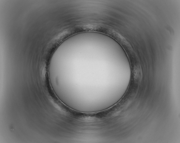 X0000113000637200909101757