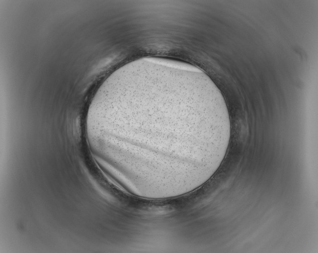 X0000113000638200909101757