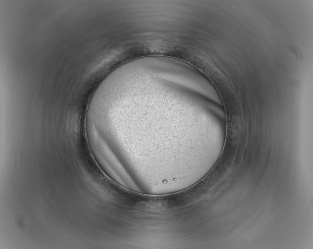 X0000113000639200909101757