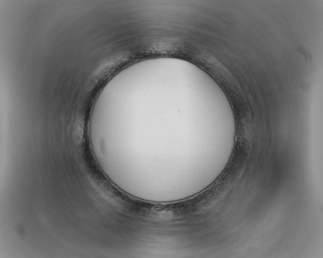 X0000113000640200909101757