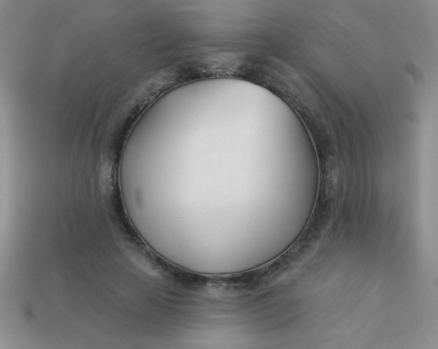 X0000113000641200909101757