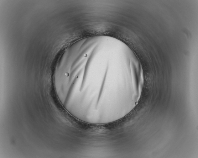 X0000113000642200909101757