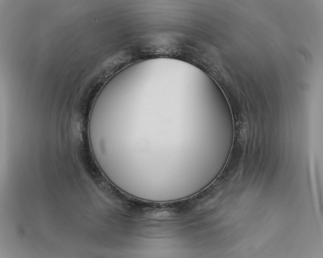 X0000113000643200909101757