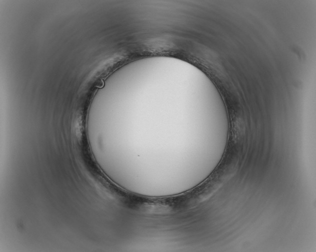 X0000113000644200909101757