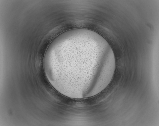 X0000113000645200909101757