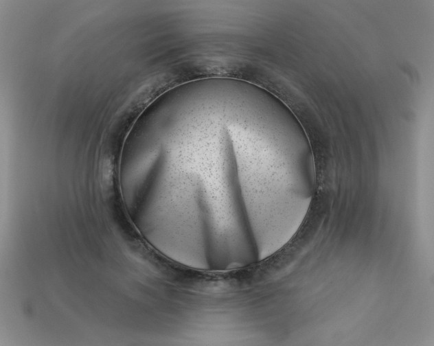 X0000113000646200909101757