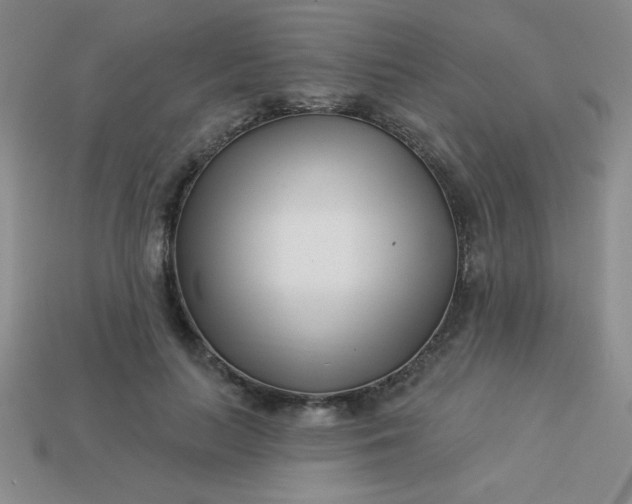 X0000113000647200909101757