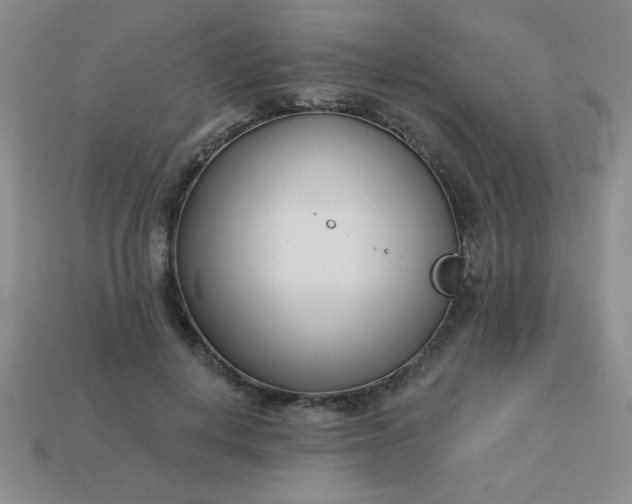 X0000113000648200909101757