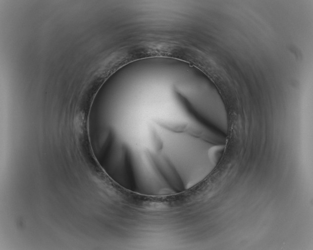 X0000113000649200909101757