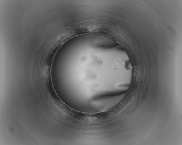 X0000113000650200909101757