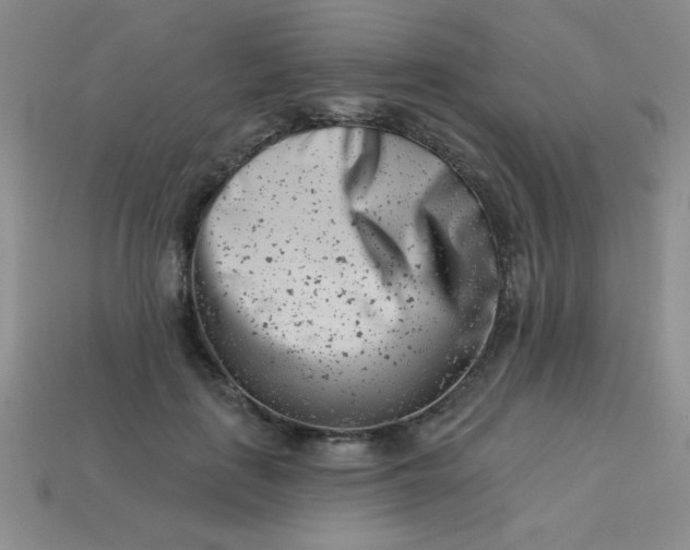 X0000113000651200909101757