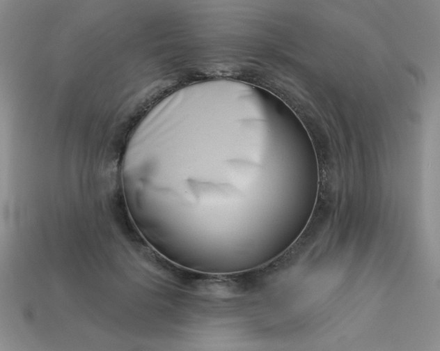 X0000113000652200909101757