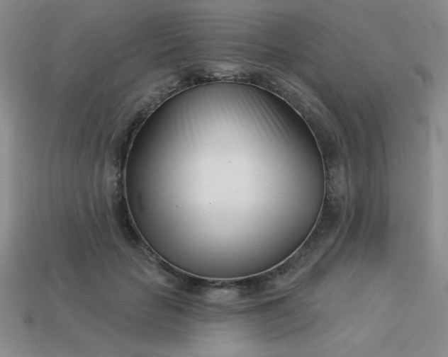 X0000113000653200909101757