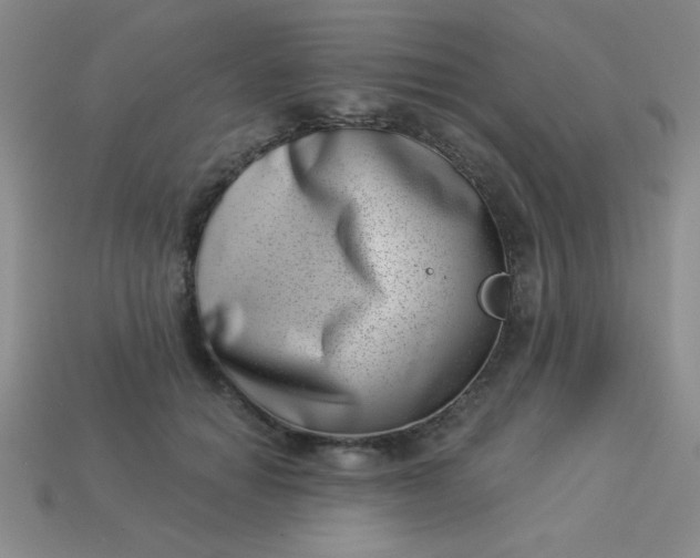 X0000113000654200909101757