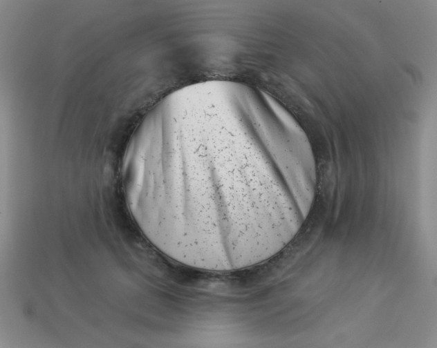 X0000113000655200909101757