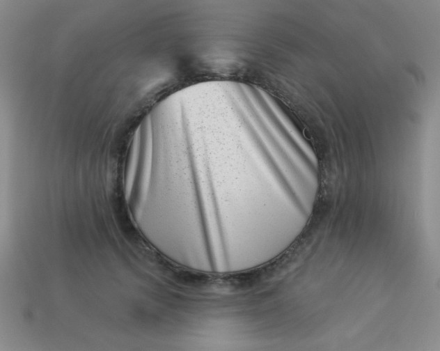 X0000113000656200909101757