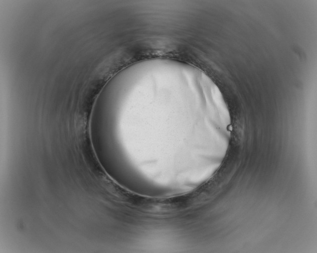 X0000113000657200909101757