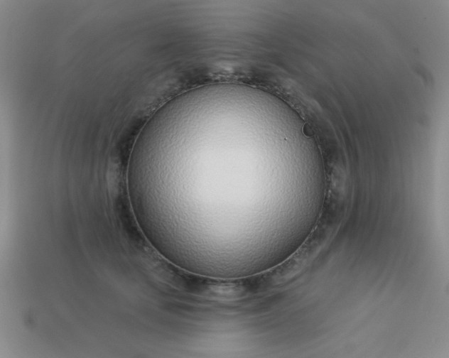 X0000113000659200909101758