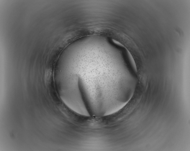 X0000113000660200909101758