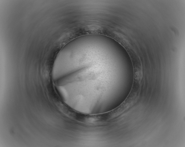 X0000113000662200909101758