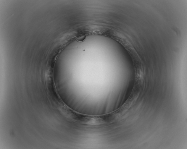 X0000113000663200909101758