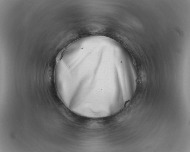 X0000113000664200909101758