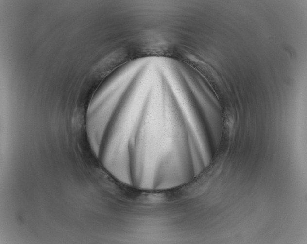 X0000113000665200909101758