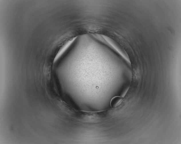 X0000113000666200909101758