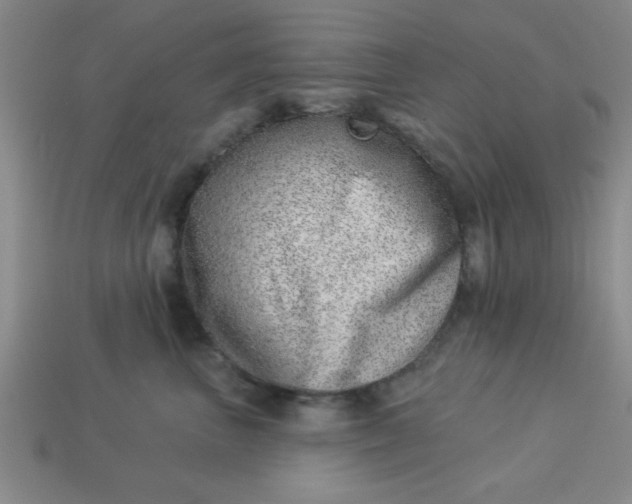 X0000113000667200909101758