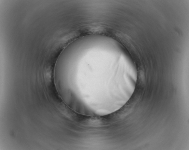 X0000113000668200909101758