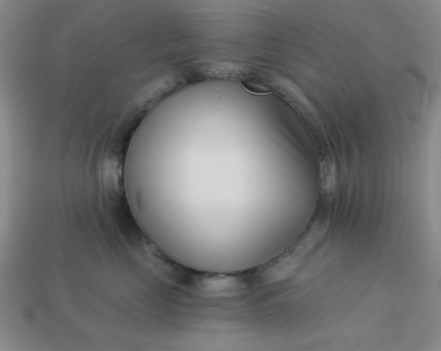 X0000113000669200909101758