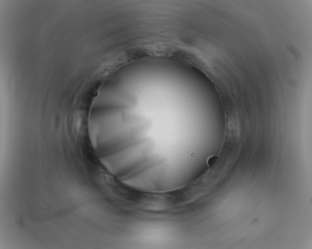 X0000113000671200909101758