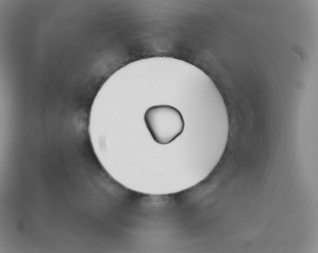 X0000113000672200909101758