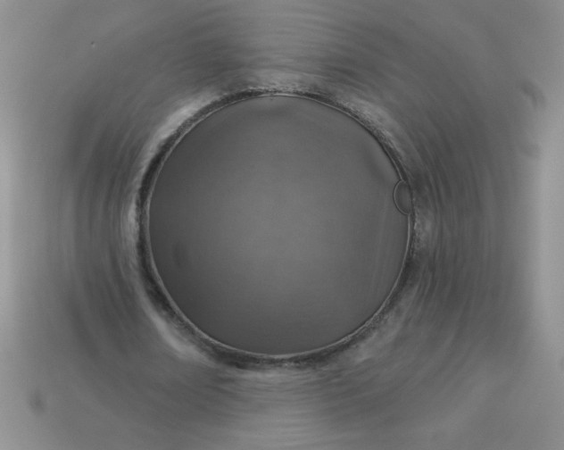 X0000113000674200909101757