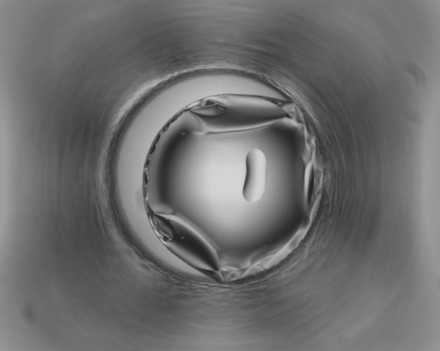 X0000113000676200909101757