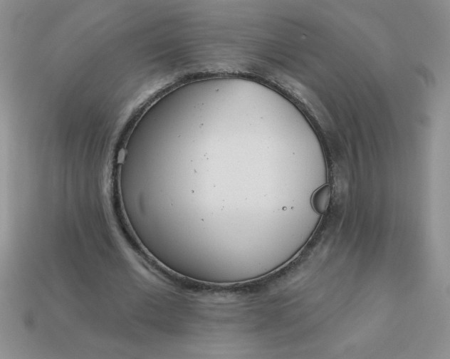 X0000113000677200909101757