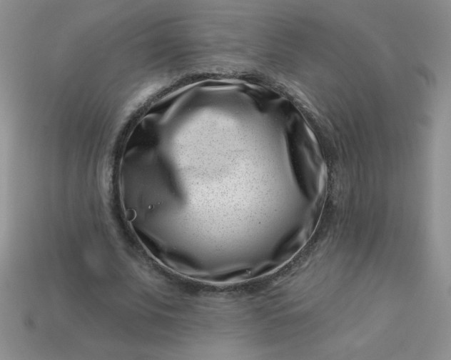 X0000113000679200909101757