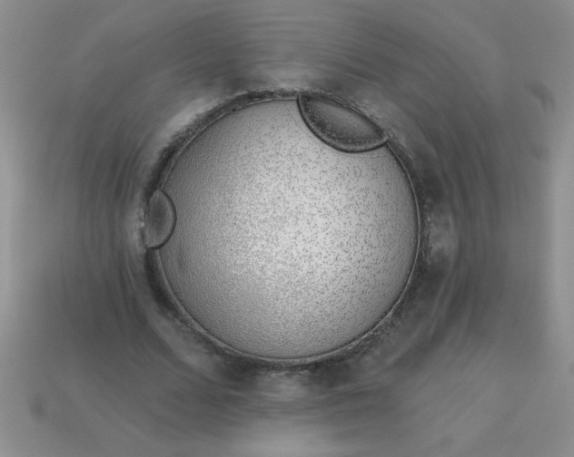 X0000113000680200909101757