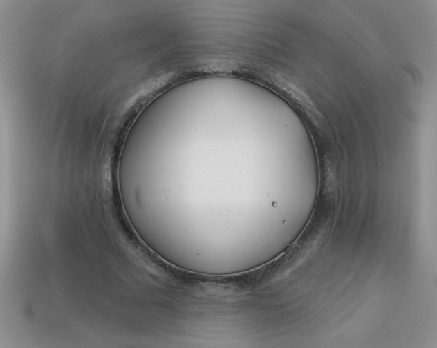 X0000113000681200909101757