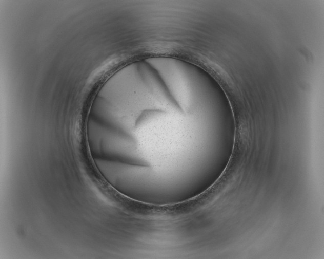 X0000113000682200909101757