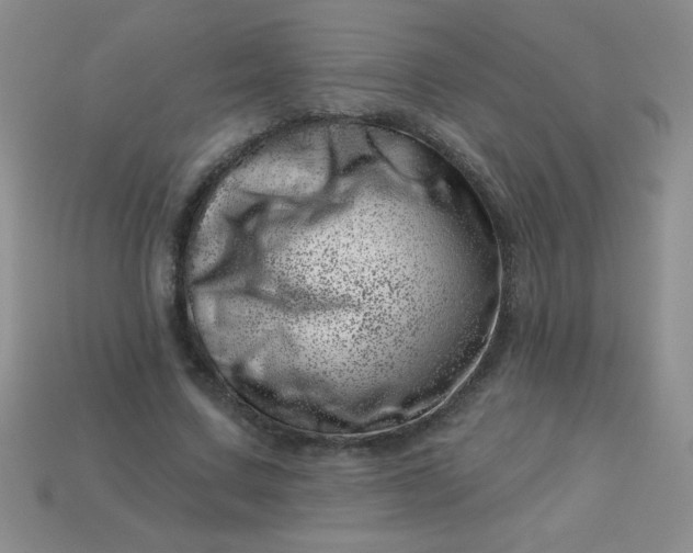 X0000113000683200909101757