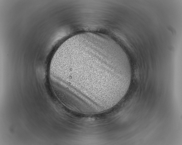 X0000113000687200909101757