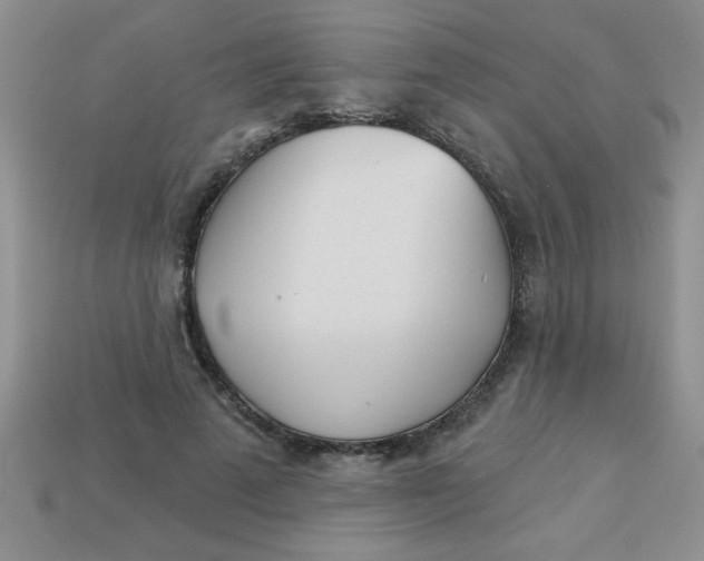 X0000113000689200909101757