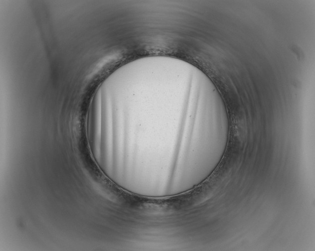 X0000113000690200909101757